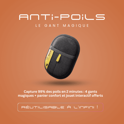 Pack Familial 4 Gants Magiques - Image 1