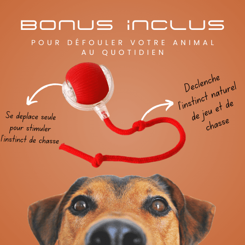 Pack Familial 4 Gants Magiques - Image 5